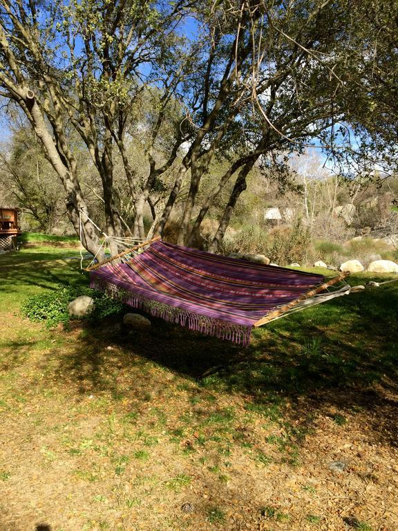 Kaweah Chakra Resort スリー・リバーズ 部屋 写真