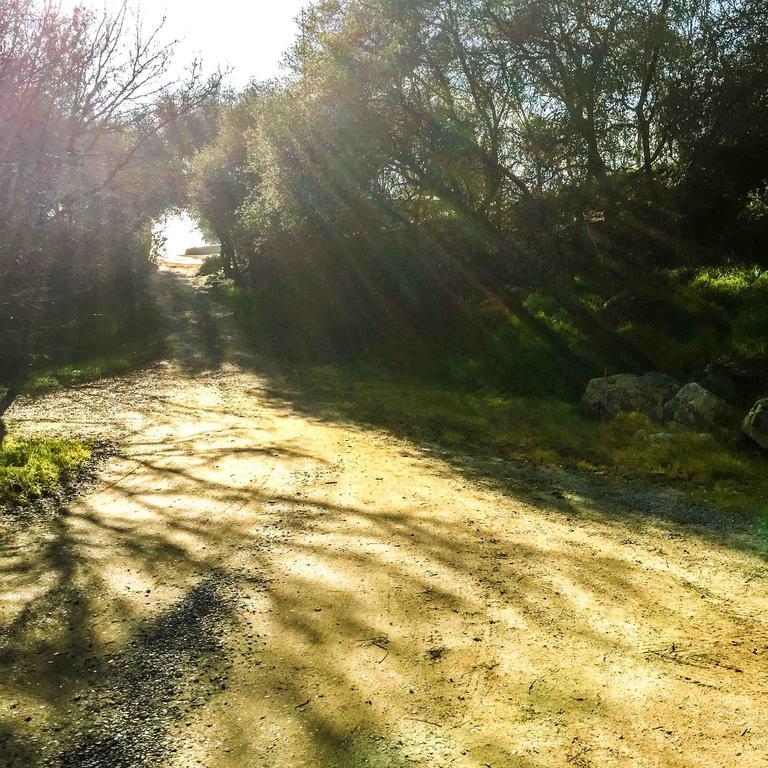 Kaweah Chakra Resort スリー・リバーズ エクステリア 写真