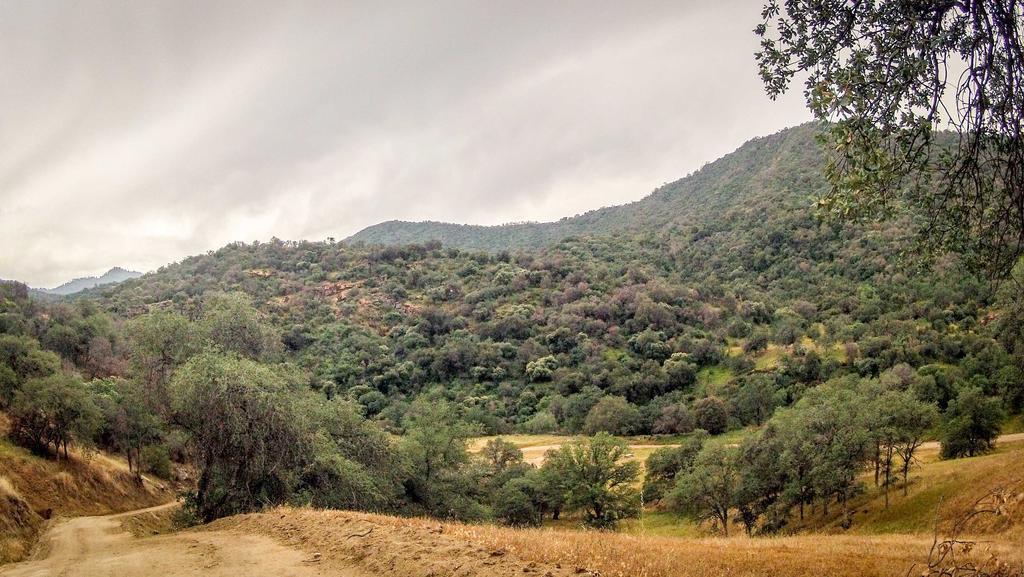Kaweah Chakra Resort スリー・リバーズ エクステリア 写真
